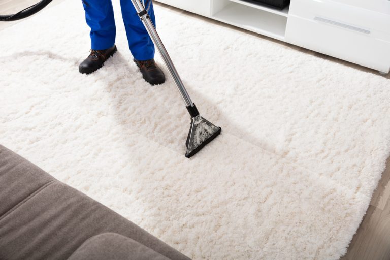 The Importance of Cleaning Your Carpet