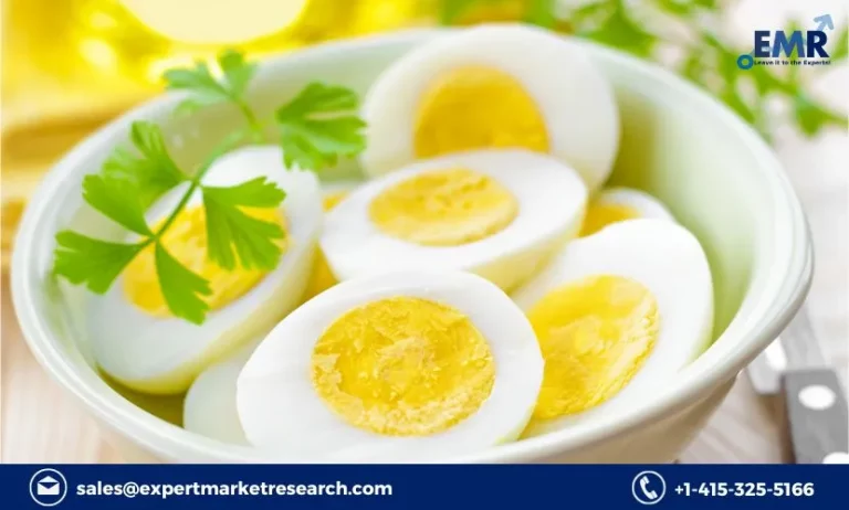 Germany Solid Egg Substitutes Market Share, Key Players, Size, Report, Growth, Trends, Forecast 2023-2028