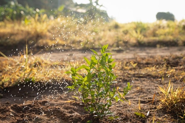 When Your Lawn Can’t Absorb the Water: How Soil Infiltration Shapes Sprinkler Performance